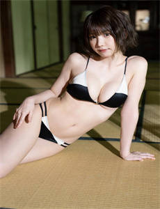 豚鼠纪实