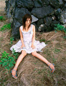 狐妖小红娘免费播放