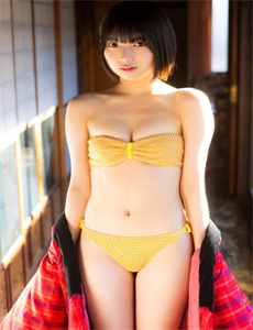 运虎记